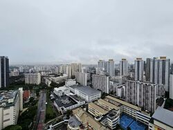 Trevista (D12), Condominium #553797651